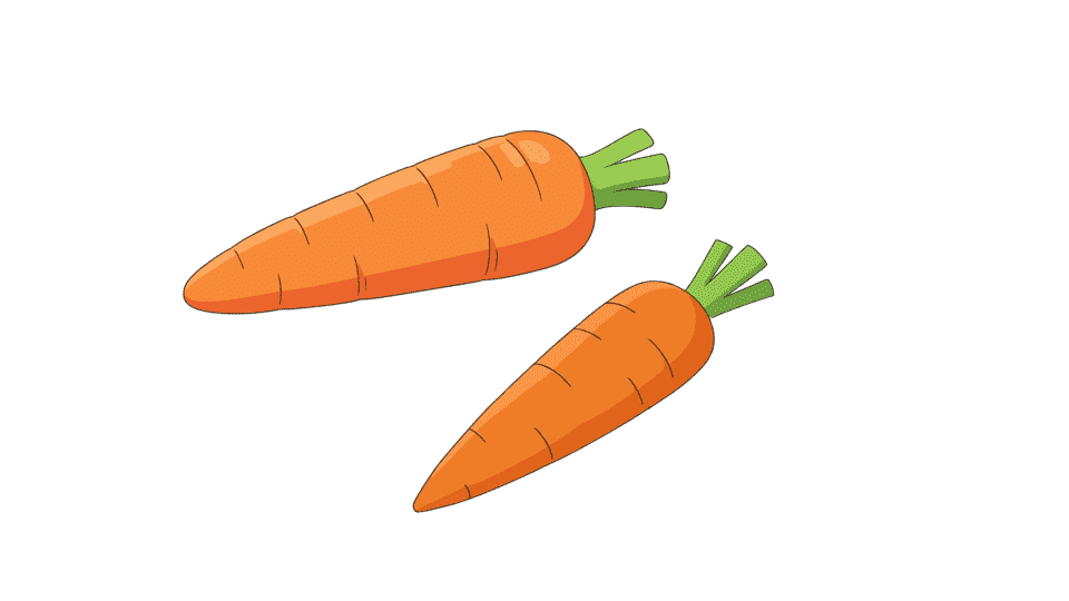 胡萝卜.png